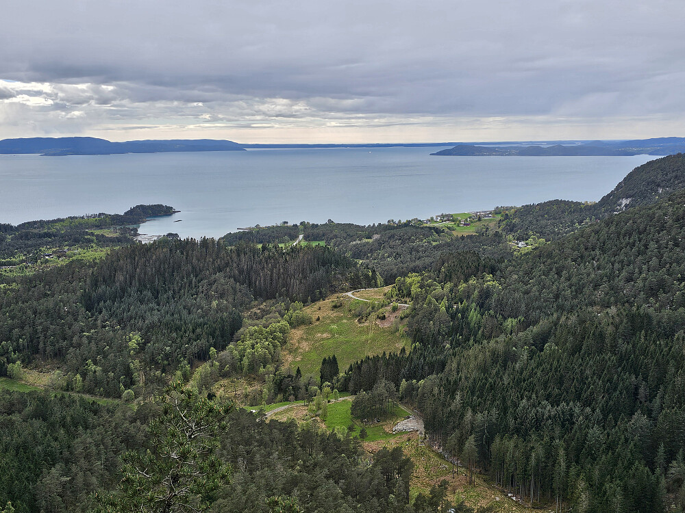 Bjørnefjorden sett fra Olainuten
