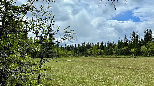 Ved Lunners mest øde punkt, ved Branntjernhøgda. 