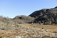 Tollak_20250903_68b822616dd84.jpg