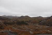 Tollak_20250904_68b9a3fd56af4.jpg