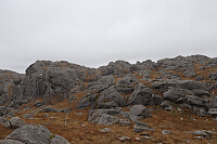 Tollak_20250904_68b9a40222d3e.jpg