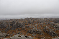 Tollak_20250904_68b9a403b7dfd.jpg