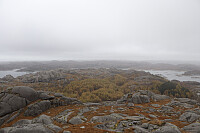 Tollak_20250904_68b9a40532524.jpg
