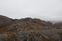 Tollak_20250904_68b9a40bd0ee2.jpg