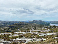 Tollak_20251012_68ebe572c1c90.jpg