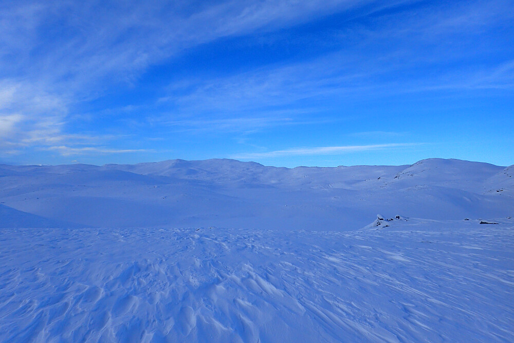 Dagens mål i sikte!