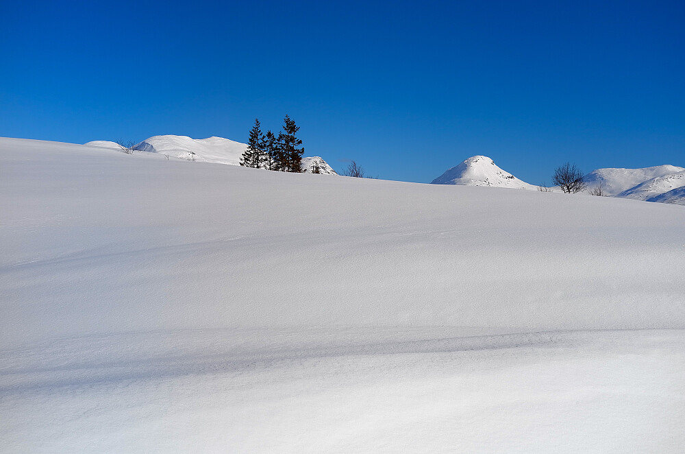Sockertoppen kommer til syne