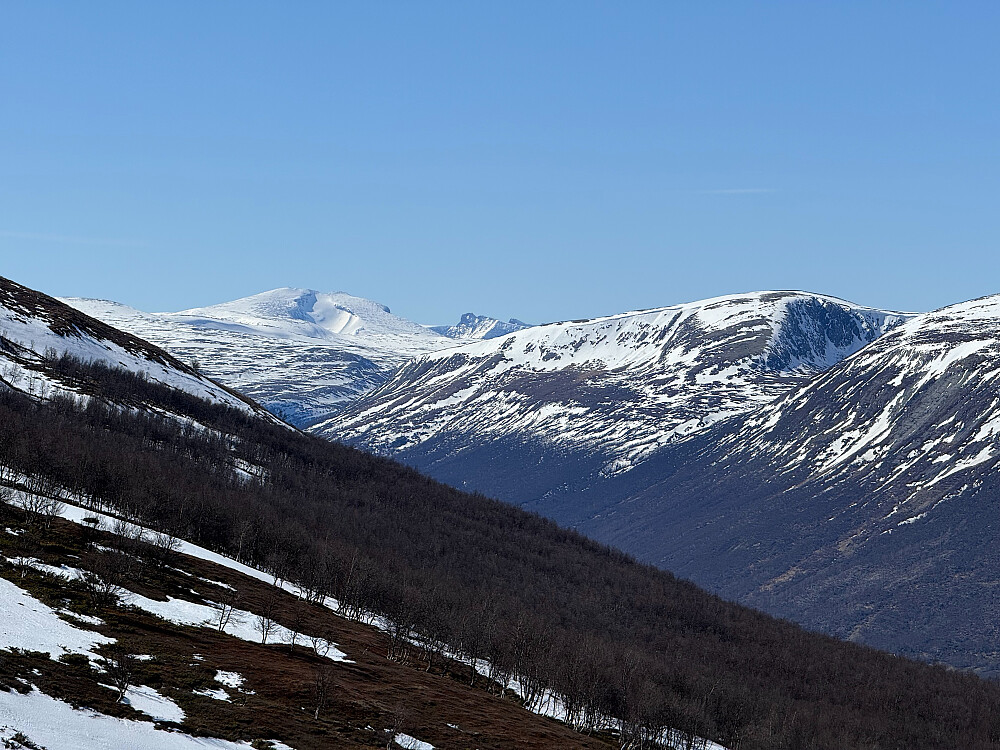 Snøhetta