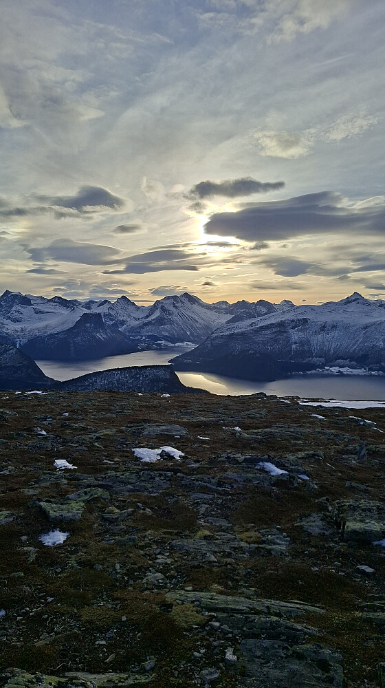 Varden på Oksen / Kvitfjellet
