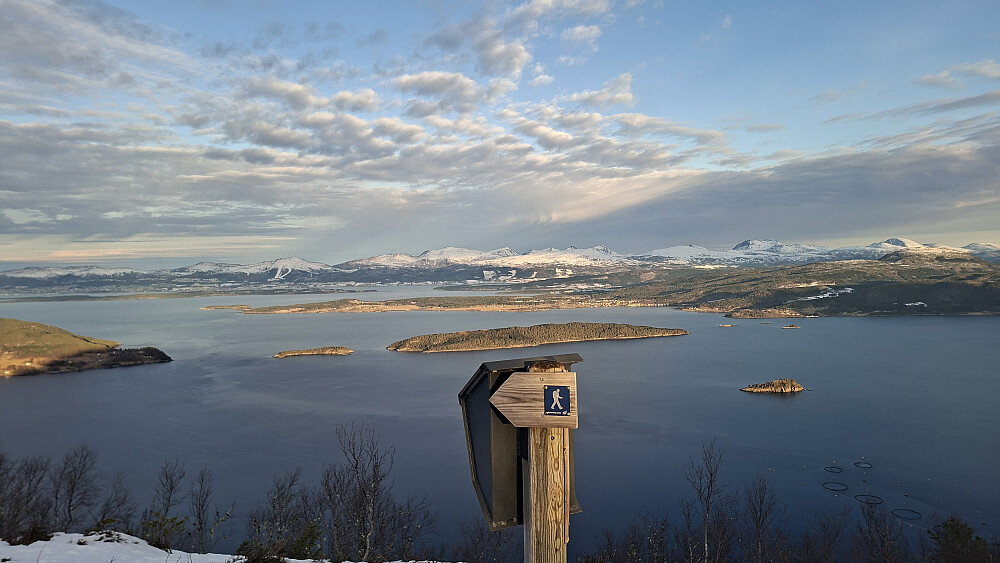 Utsikt mot Molde fra Randsetfjellet