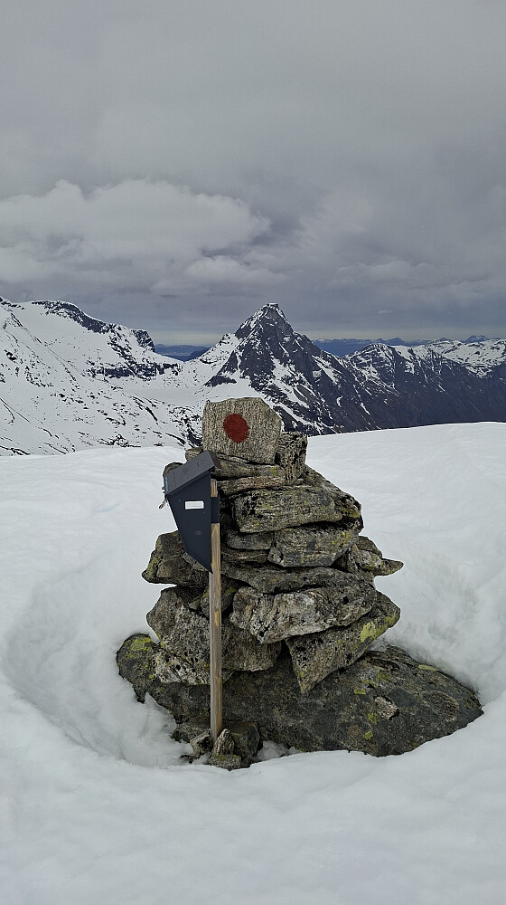 På toppen av Skarfjellenden