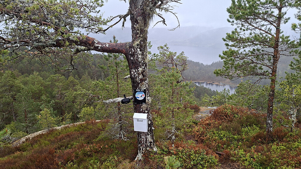 Tranhaugen