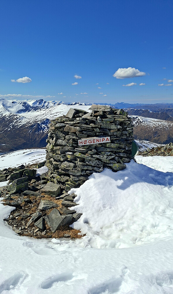 Høgenipa