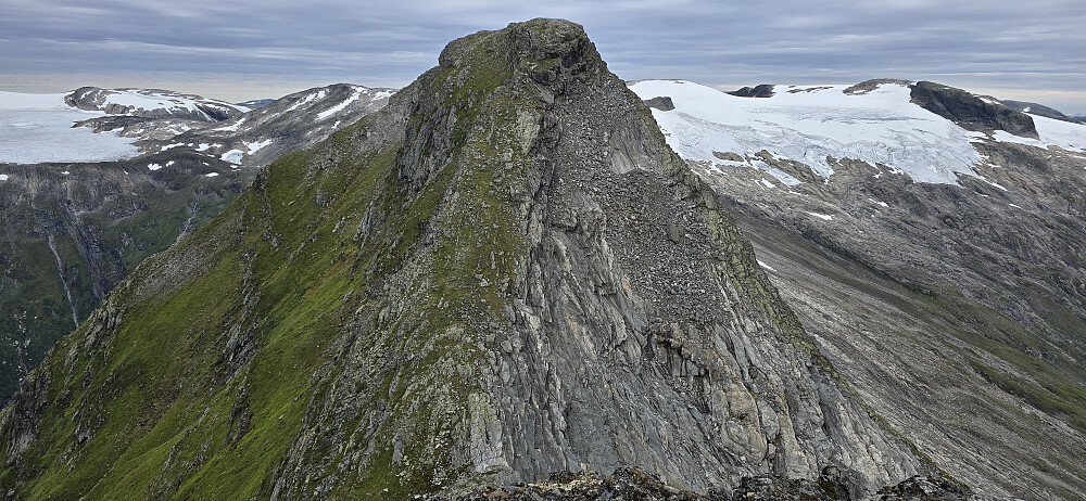 Fjellstølsnipa sett fra Geitaryggen