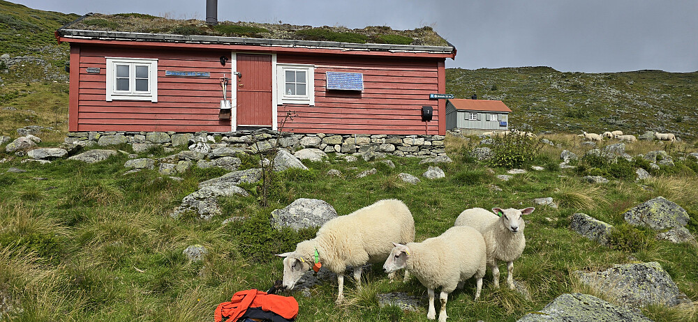 Grøssete