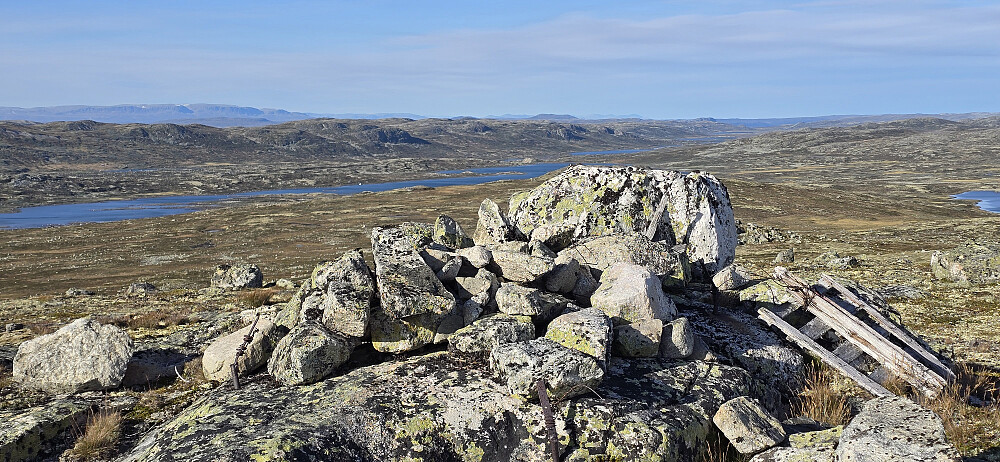 Skjerhølnuten
