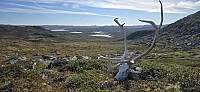 JoSo_20250831_68b4313cc6ce2.jpg