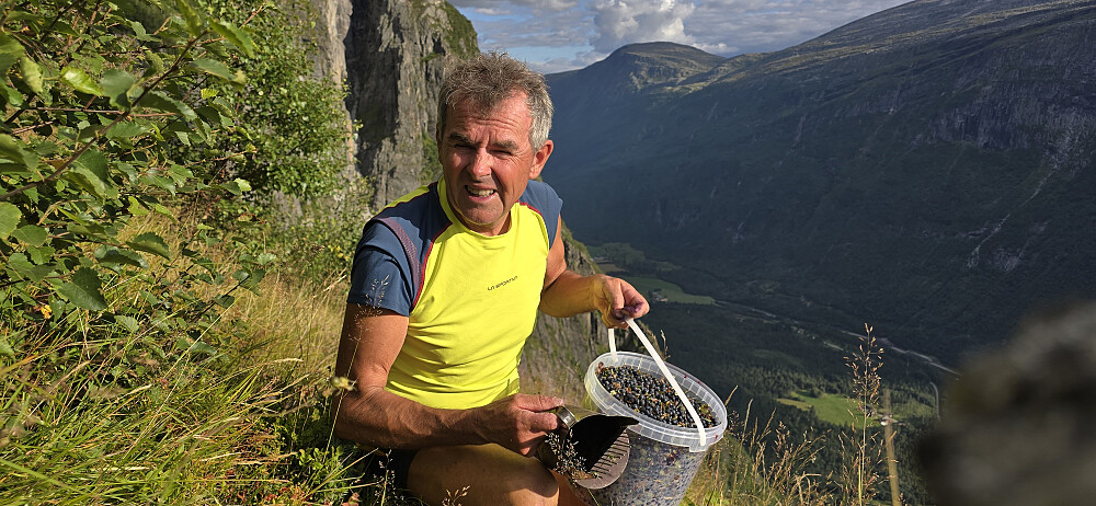 Blåbær på vei ned lia :)