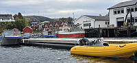 JoSo_20250905_68ba7c25ca8f0.jpg