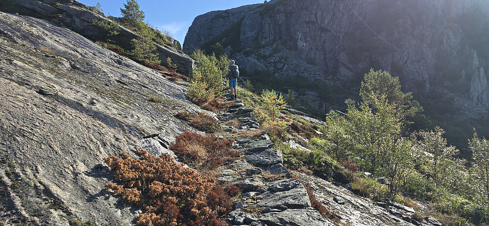 Flott hellegang opp fra Tåmåsvika