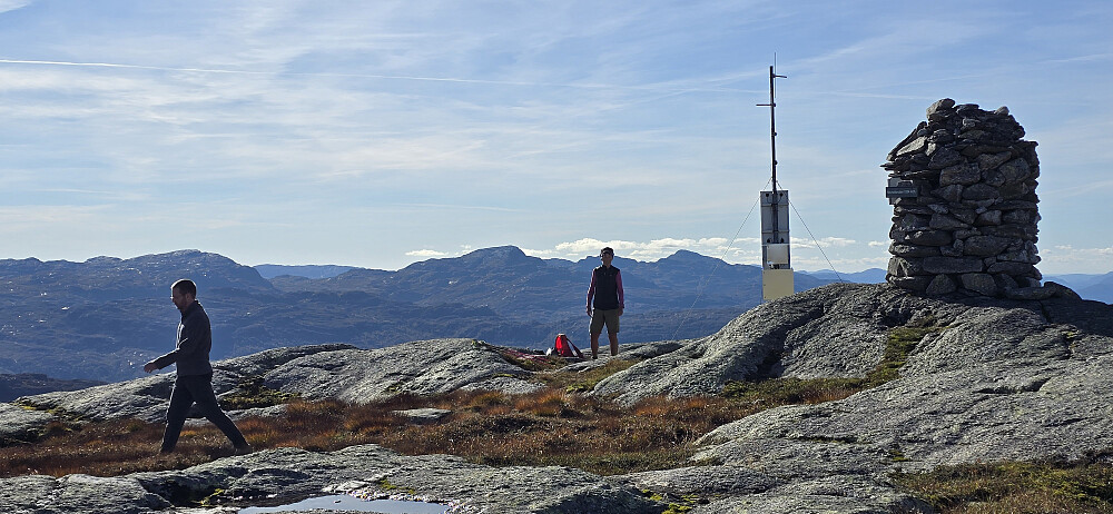 Nevroldsnuten