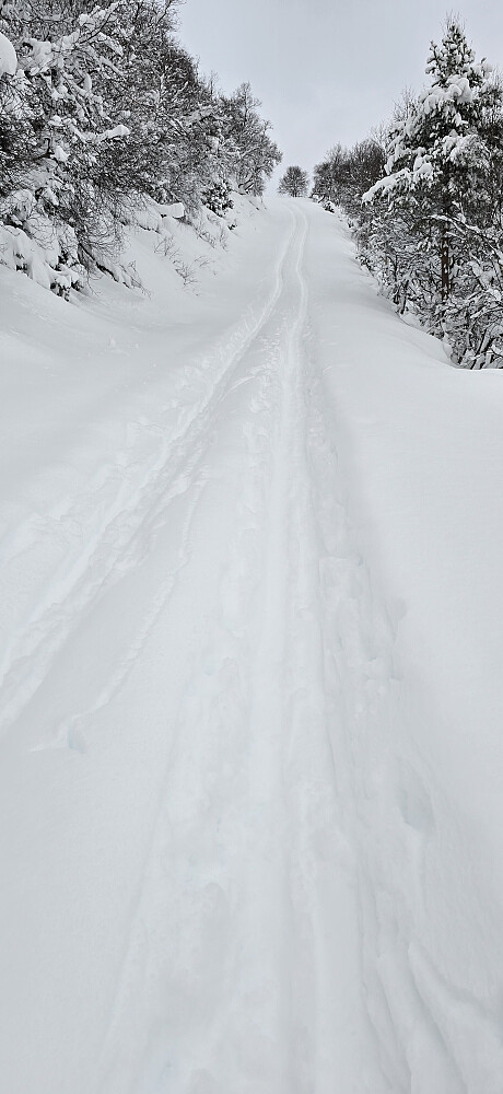 Høstens første skitur :)