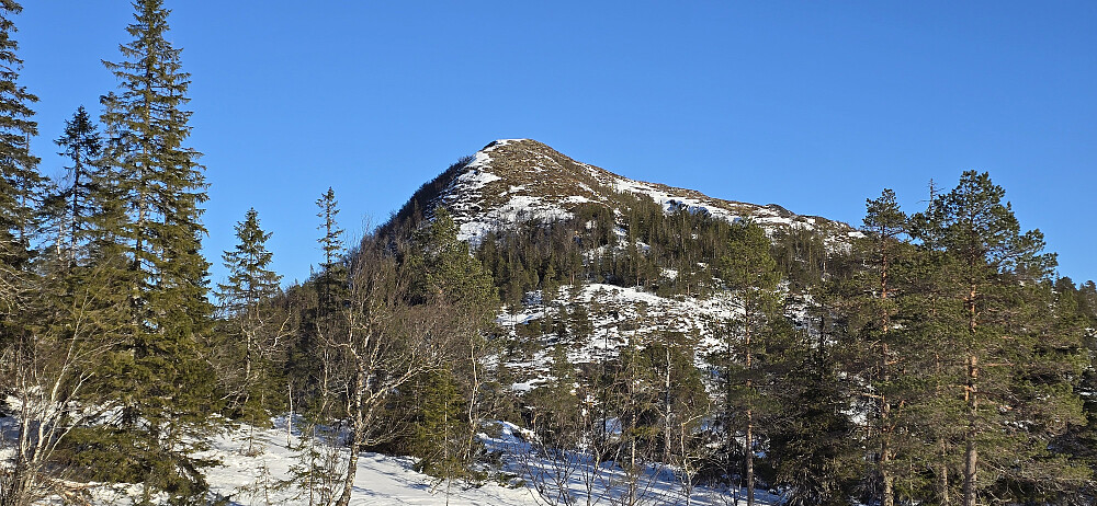 Utsikt mot Storhornet
