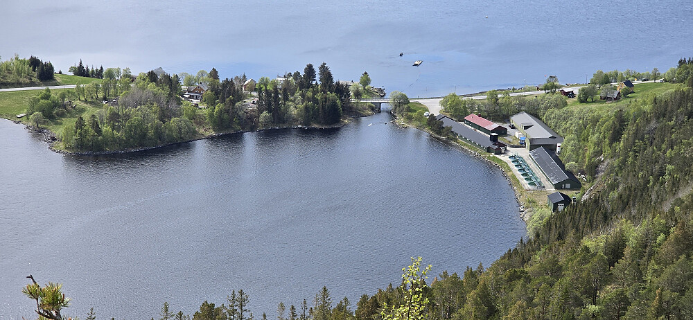 Mot Lonet og Strømsneset