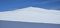 JoSo_20260518_6a0b71aba7bcb.jpg