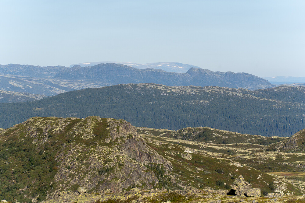 Hallingskarvet/Skarvsenden stikker akkurat opp