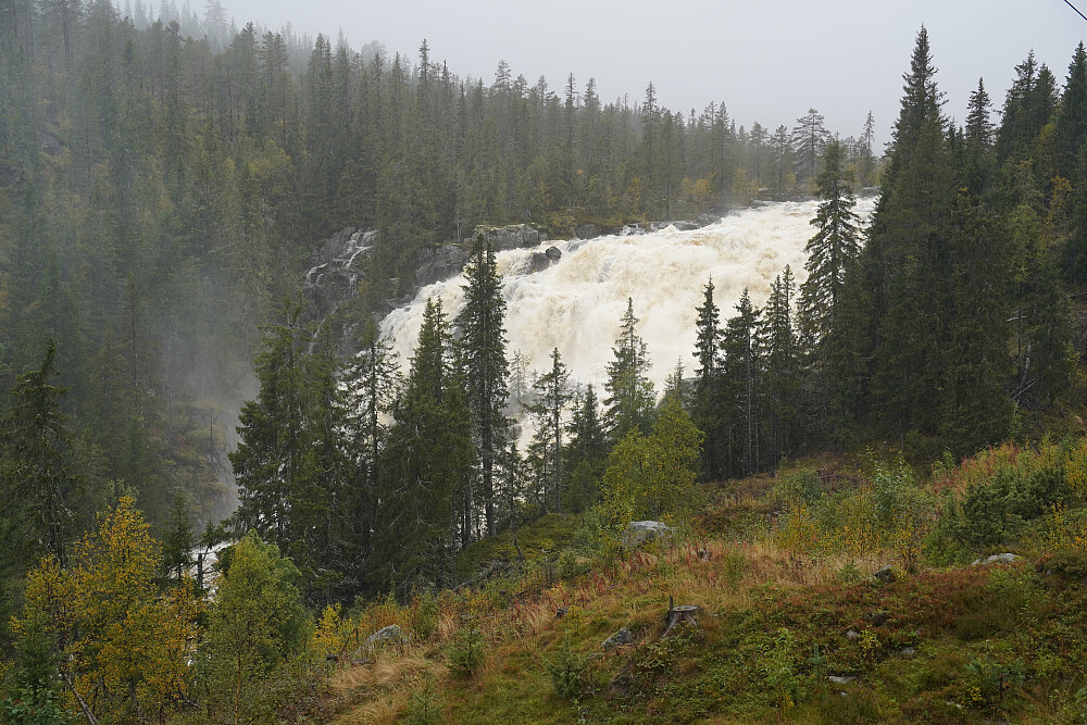Sagfossen sett fra fylkesveien på et senere tidspunkt med vesentlig mer vannføring. "Øya" kan akkurat sees igjennom det første laget med trær