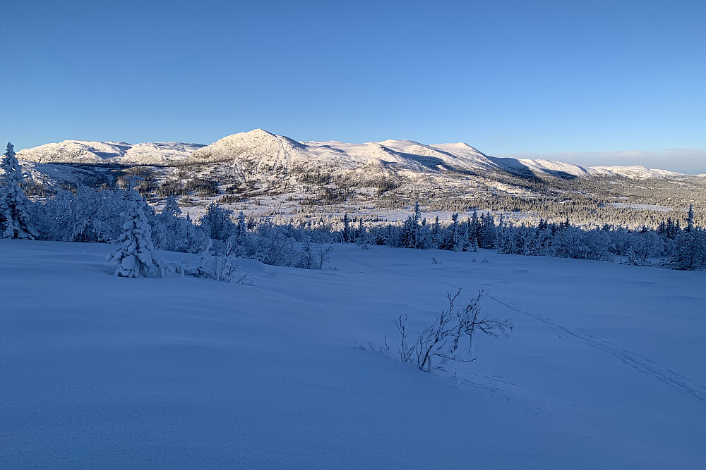 Flentpiken høyest litt til venstre
