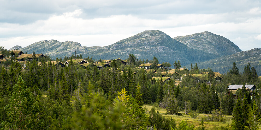 Øvre Reinsjøfjell hyttefelt med Skomakernatten og Anfinnatten bak. August