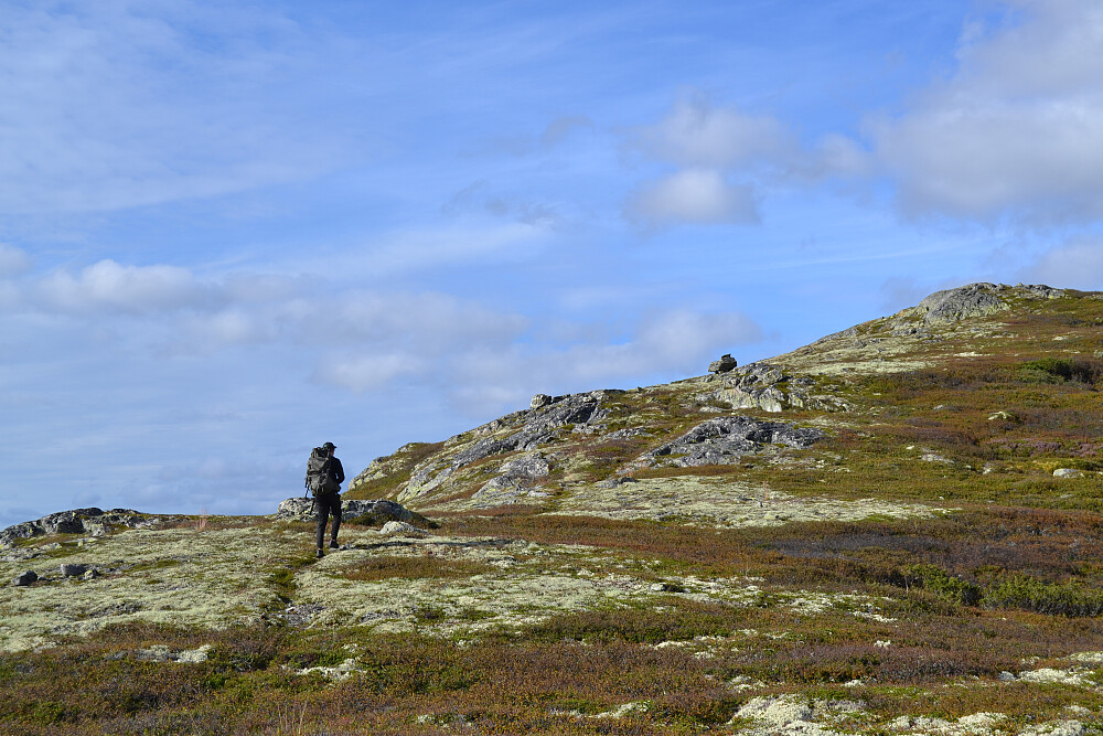 Opp ryggen til Dalastaulnuten. Dagens flotteste terreng. 