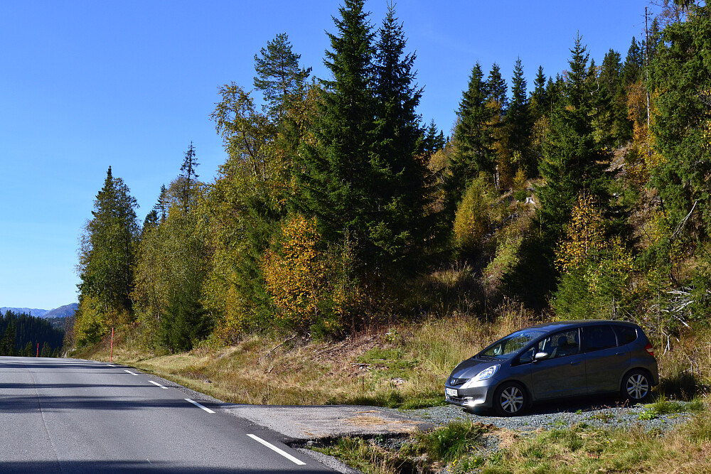 Parkering ved Eidsborgvegen