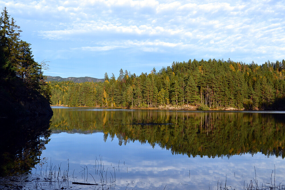 Ulvsvann