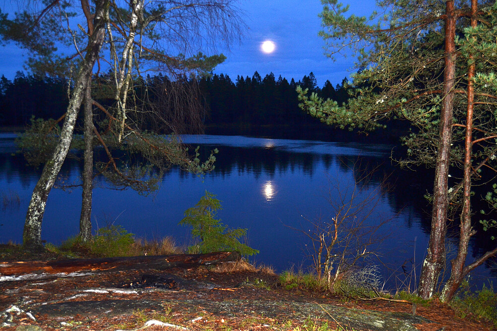 Månen over Hvitsteintjenn