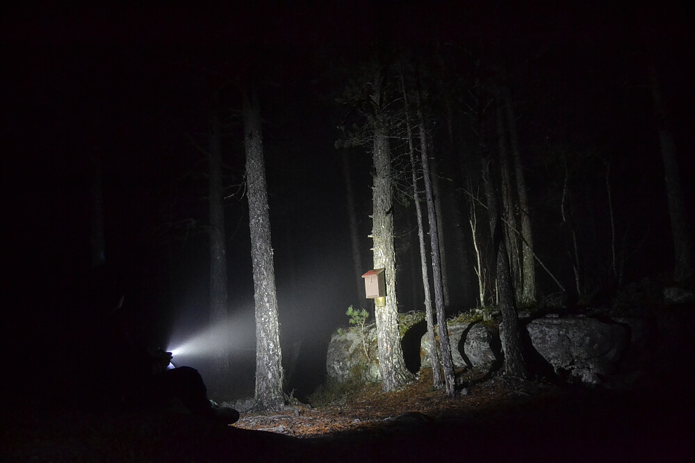 Ved trimkassa på kaperkollen