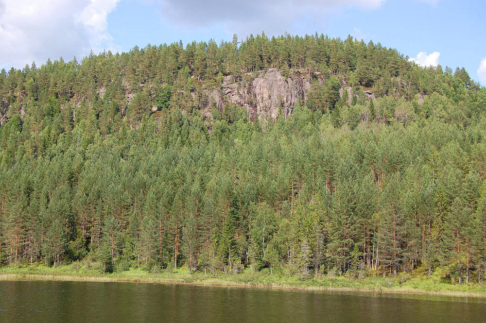Knattåsen sett fra Venheimtjønn. Høyeste punkt ligger et par hundre bakenfor