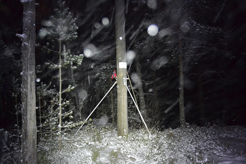 Masta på toppen, nær trig.punktet