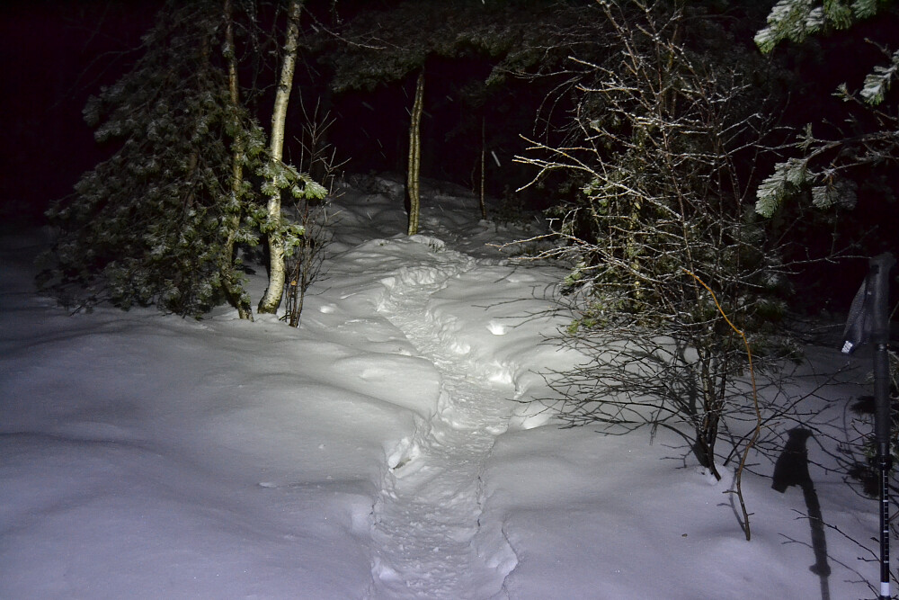 Fine forhold på stien