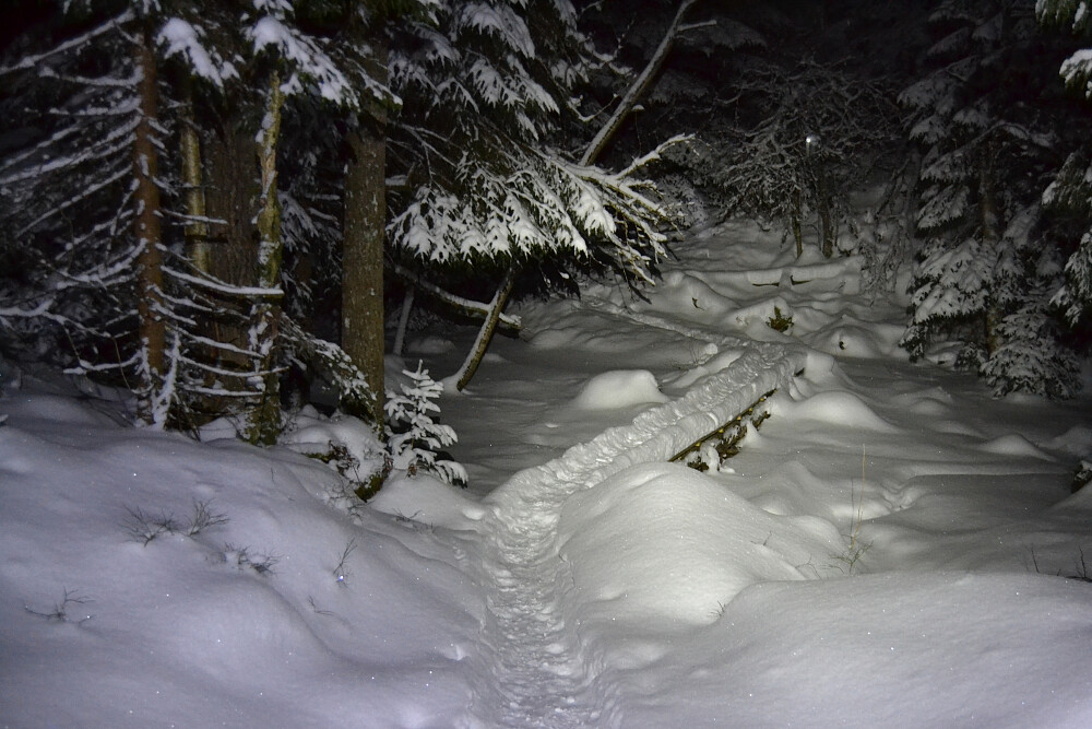 Ved kloppen rett før kneika i "Melkesyreskogen"