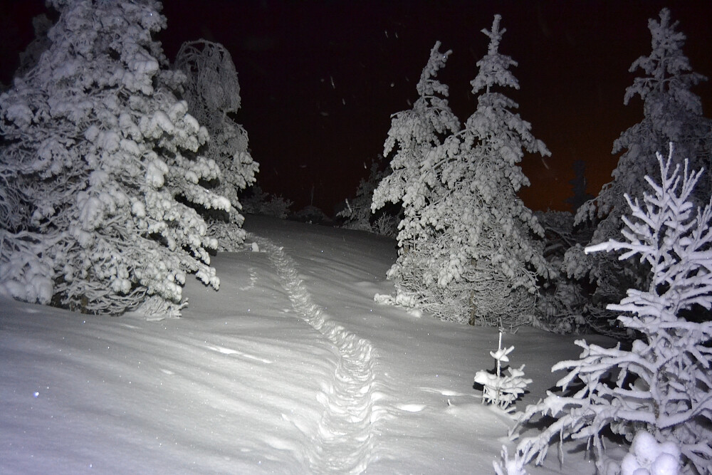 Siste meterne før toppen