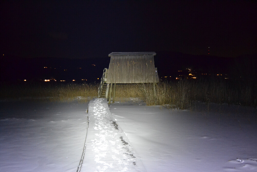 Ved det gamle fugletårnet