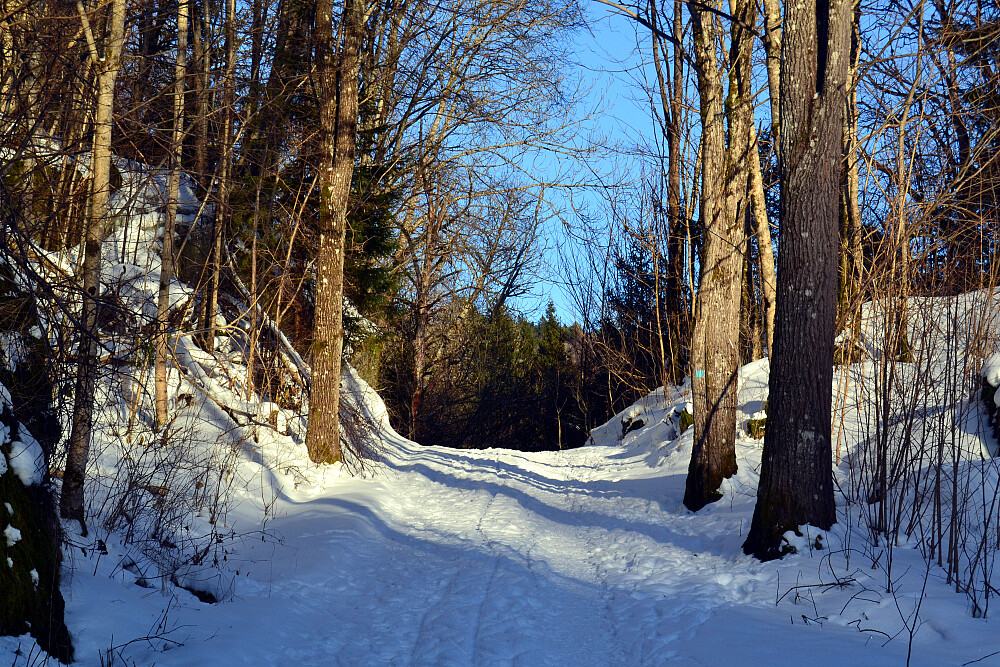 Fra starten av turen inn mot Uroa.
