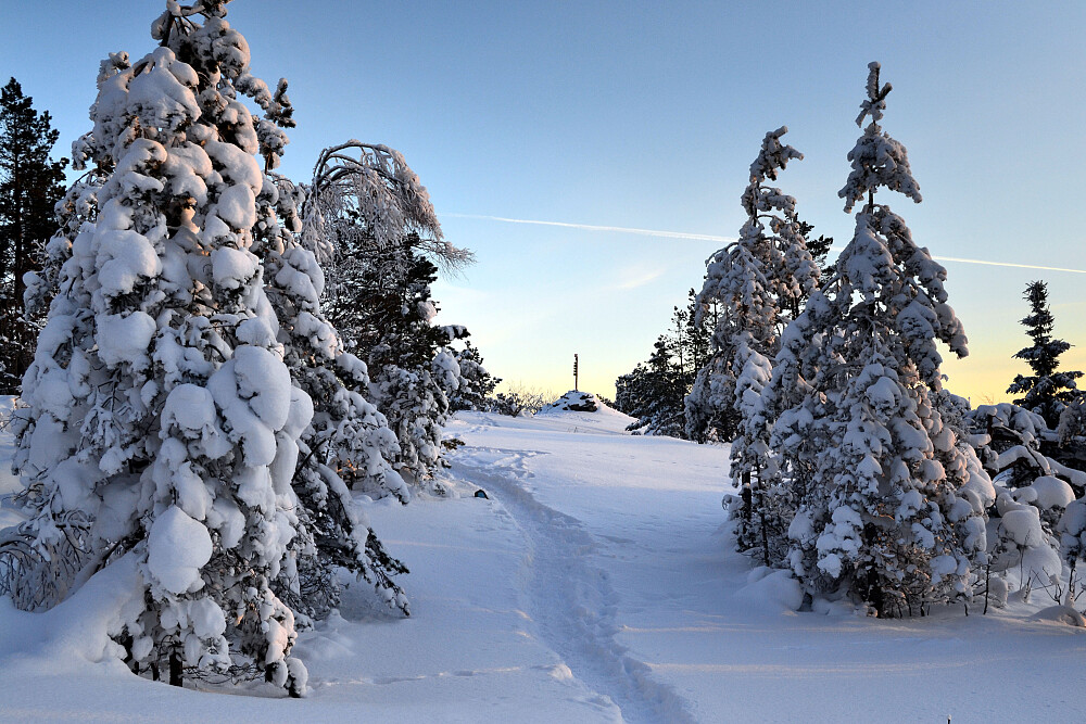 Varden på Vealøs i sikte