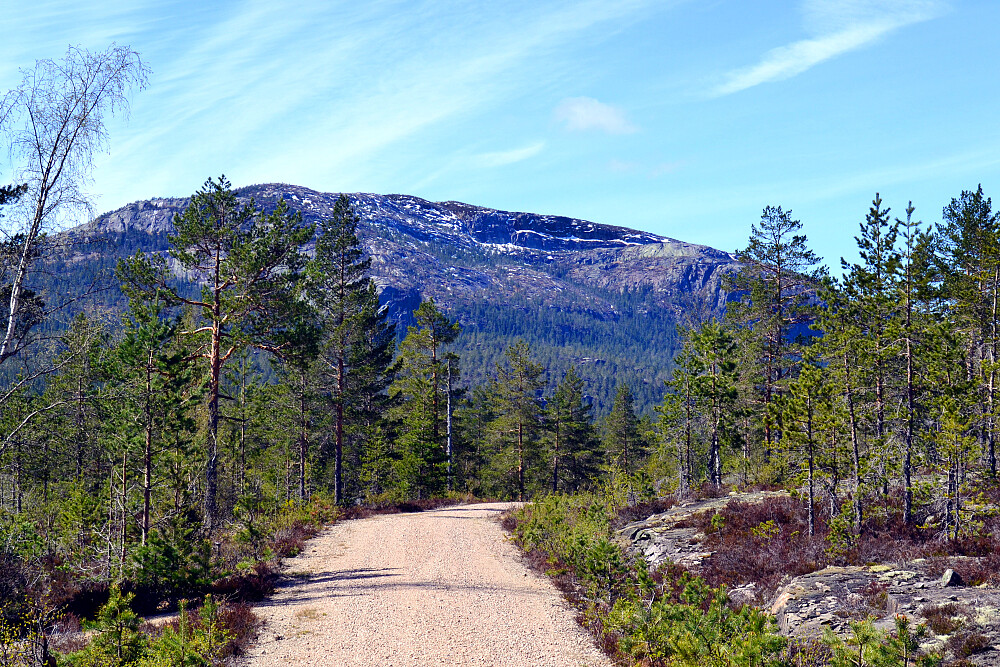 Brakandalsfjellet i sikte
