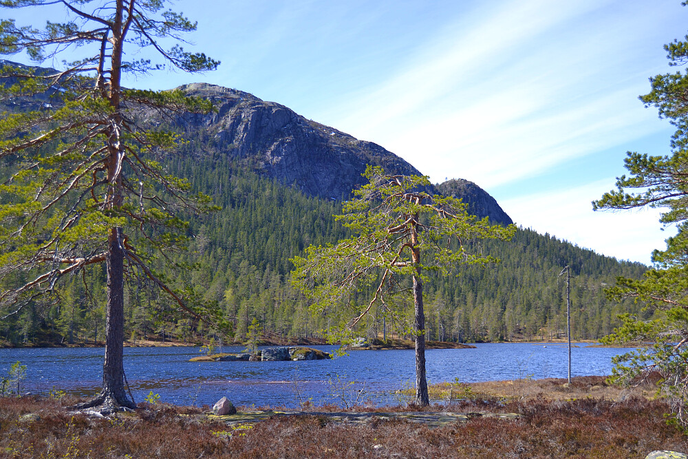 Ved Holmevatnet