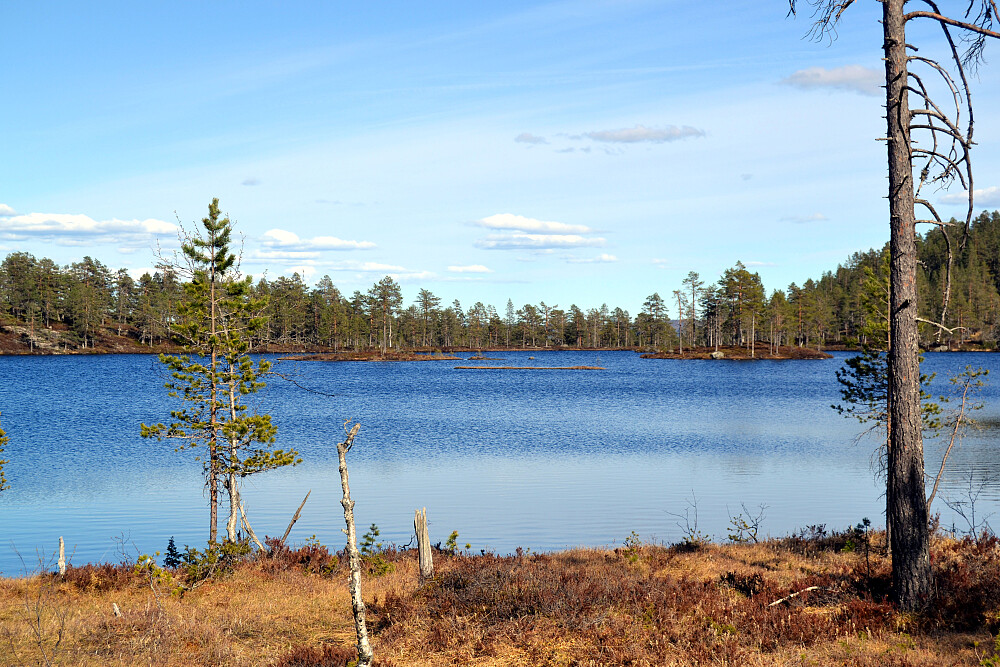 Nede igjen ved Holmevatnet