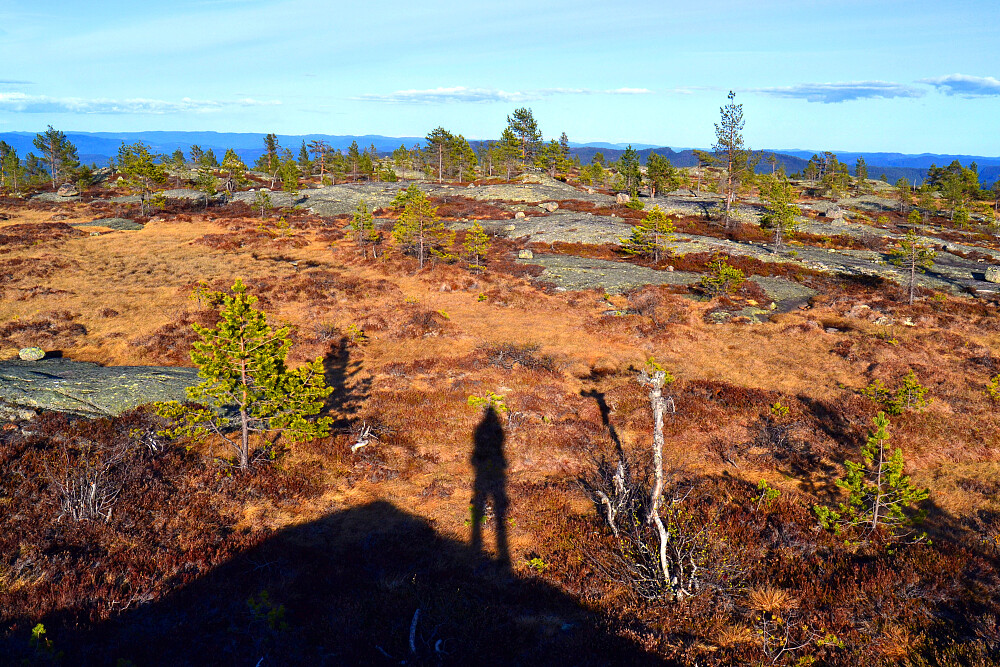 Fra toppområdet på Fjesliknatten. 